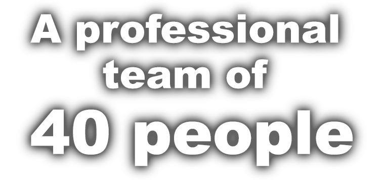 A professional team of 40 people